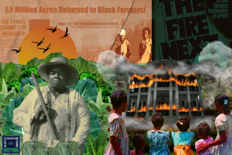 Cancel Pigford Debt Collage Art by Walter Cruz for Haki Creatives. Fannie Lou Hamer Standing in the Freedom Farm Field, Mississippi, 1971.