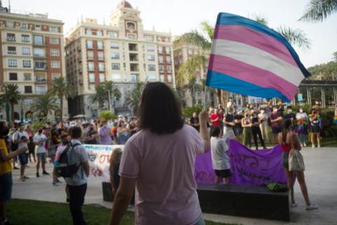 A protester is seen waving a trans flag during a protest