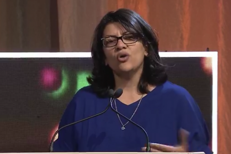 WATCH: Rashida Tlaib on Why All Legislation Must Protect LGBTQ Rights ...